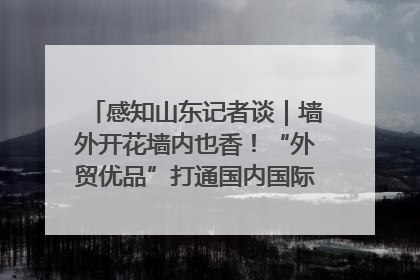 感知山东记者谈｜墙外开花墙内也香！“外贸优品”打通国内国际市场“旋转门”