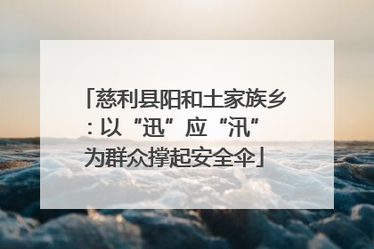 慈利县阳和土家族乡：以“迅”应“汛” 为群众撑起安全伞