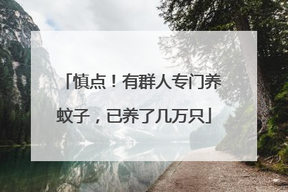 慎点！有群人专门养蚊子，已养了几万只