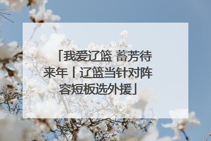 我爱辽篮 蓄芳待来年丨辽篮当针对阵容短板选外援