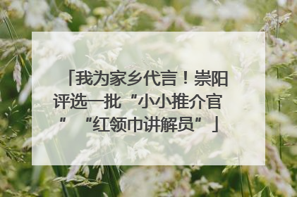 我为家乡代言！崇阳评选一批“小小推介官”“红领巾讲解员”