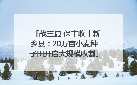战三夏 保丰收丨新乡县：20万亩小麦种子田开启大规模收割