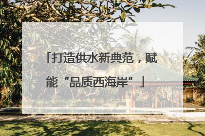 打造供水新典范，赋能“品质西海岸”