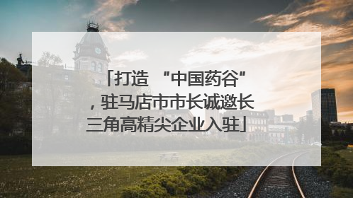打造 “中国药谷”，驻马店市市长诚邀长三角高精尖企业入驻