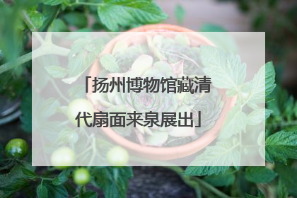 扬州博物馆藏清代扇面来泉展出