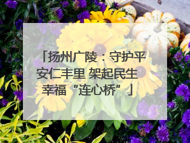 扬州广陵：守护平安仁丰里 架起民生幸福“连心桥”