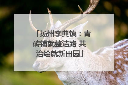 扬州李典镇：青砖铺就整洁路 共治绘就新田园