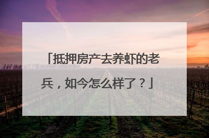 抵押房产去养虾的老兵，如今怎么样了？