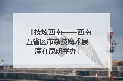 技炫西南——西南五省区市杂技魔术展演在昆明举办