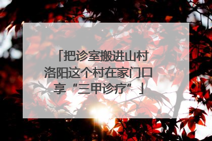把诊室搬进山村 洛阳这个村在家门口享“三甲诊疗”