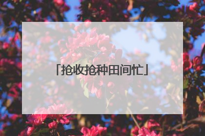 抢收抢种田间忙