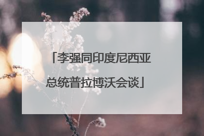 李强同印度尼西亚总统普拉博沃会谈