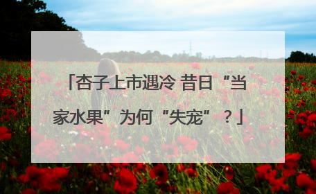 杏子上市遇冷 昔日“当家水果”为何“失宠”？