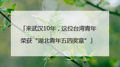 来武汉10年，这位台湾青年荣获“湖北青年五四奖章”