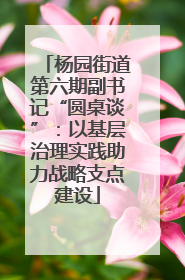 杨园街道第六期副书记“圆桌谈”：以基层治理实践助力战略支点建设
