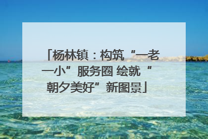 杨林镇：构筑“一老一小”服务圈 绘就“朝夕美好”新图景