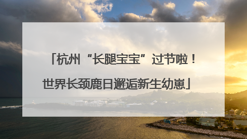 杭州“长腿宝宝”过节啦！世界长颈鹿日邂逅新生幼崽