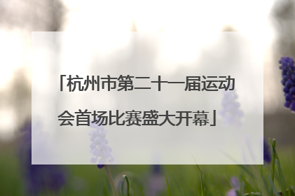 杭州市第二十一届运动会首场比赛盛大开幕