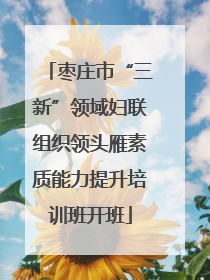 枣庄市“三新”领域妇联组织领头雁素质能力提升培训班开班
