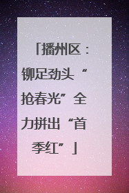 播州区：铆足劲头“抢春光”全力拼出“首季红”