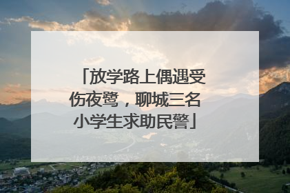 放学路上偶遇受伤夜鹭，聊城三名小学生求助民警