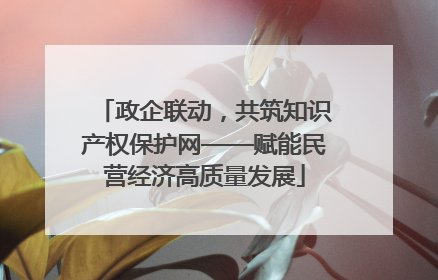 政企联动，共筑知识产权保护网——赋能民营经济高质量发展