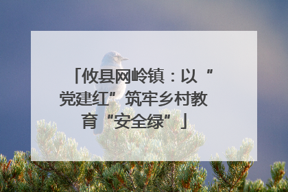 攸县网岭镇：以“党建红”筑牢乡村教育“安全绿”