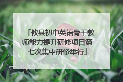 攸县初中英语骨干教师能力提升研修项目第七次集中研修举行