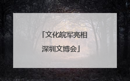 文化皖军亮相深圳文博会