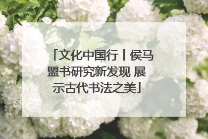 文化中国行丨侯马盟书研究新发现 展示古代书法之美