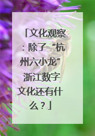 文化观察：除了“杭州六小龙” 浙江数字文化还有什么？