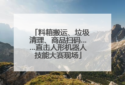 料箱搬运、垃圾清理、商品扫码……直击人形机器人技能大赛现场