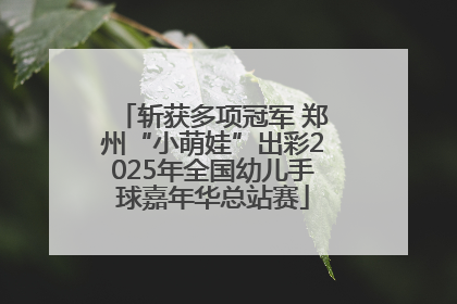 斩获多项冠军 郑州“小萌娃”出彩2025年全国幼儿手球嘉年华总站赛