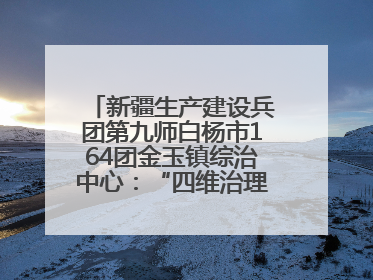 新疆生产建设兵团第九师白杨市164团金玉镇综治中心：“四维治理”淬炼边疆“枫桥样本”