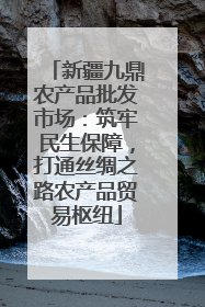 新疆九鼎农产品批发市场：筑牢民生保障，打通丝绸之路农产品贸易枢纽