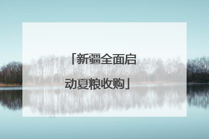 新疆全面启动夏粮收购