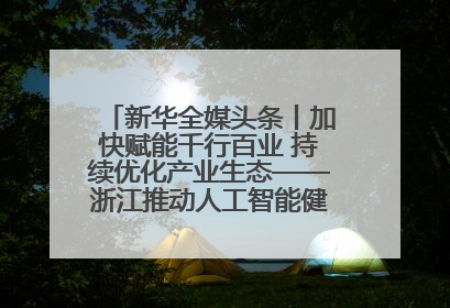 新华全媒头条丨加快赋能千行百业 持续优化产业生态——浙江推动人工智能健康有序发展观察