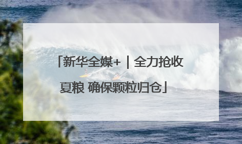 新华全媒+｜全力抢收夏粮 确保颗粒归仓