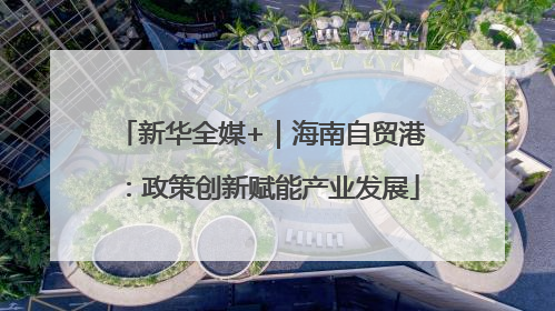 新华全媒+｜海南自贸港：政策创新赋能产业发展