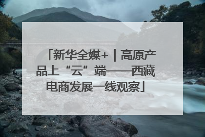 新华全媒+｜高原产品上“云”端——西藏电商发展一线观察