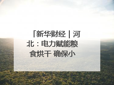 新华财经｜河北：电力赋能粮食烘干 确保小麦高质量归仓
