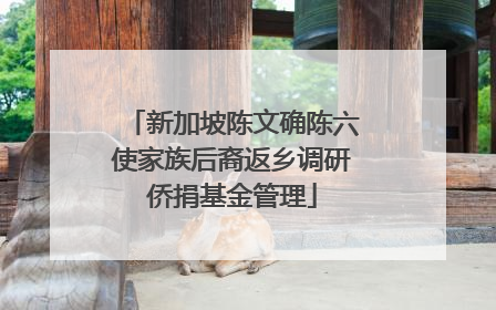 新加坡陈文确陈六使家族后裔返乡调研侨捐基金管理
