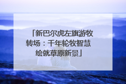 新巴尔虎左旗游牧转场：千年轮牧智慧绘就草原新景
