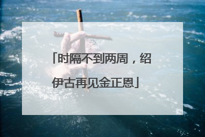 时隔不到两周，绍伊古再见金正恩