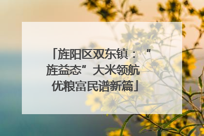 旌阳区双东镇：“旌益态”大米领航 优粮富民谱新篇