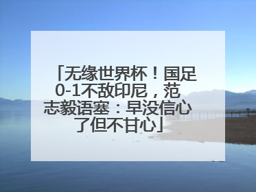 无缘世界杯！国足0-1不敌印尼，范志毅语塞：早没信心了但不甘心