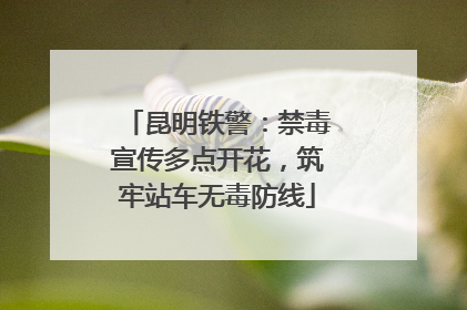 昆明铁警：禁毒宣传多点开花，筑牢站车无毒防线