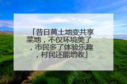 昔日黄土地变共享菜地，不仅环境美了，市民多了体验乐趣，村民还能增收