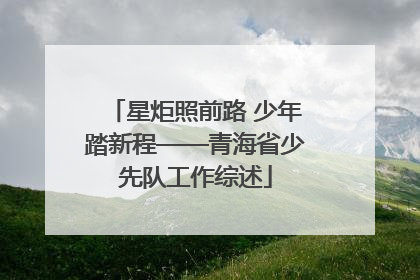 星炬照前路 少年踏新程——青海省少先队工作综述