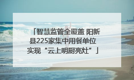 智慧监管全覆盖 阳新县225家集中用餐单位实现“云上明厨亮灶”